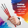 Нарушена упаковка! <205434> Кисти ПИФАГОР, набор 3 шт. (ПОНИ: круглые № 2, 3, 4), пакет с европодвесом, 200227 (200227)