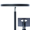 Торшер светодиодный диммируемый с ПДУ Arte Lamp Sceptrum A1822PN-1BK