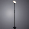 Торшер светодиодный диммируемый с ПДУ Arte Lamp Sceptrum A1822PN-1BK