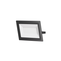 Настенно-потолочный прожектор Maytoni Outdoor Flood FL001-L50B6K