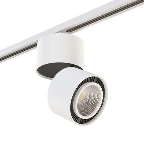 Накладной светильник Lightstar Forte Muro A1T214850