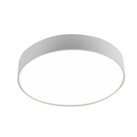 2065-30C Светодиодный настенно-потолочный светильник Favourite Flashled