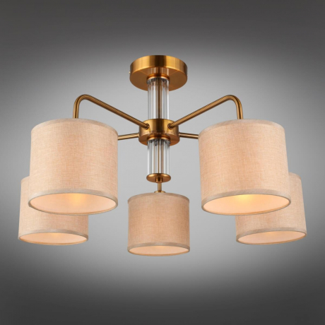 Люстра с поддержкой Алисы потолочная Omnilux OML-56907-05-A