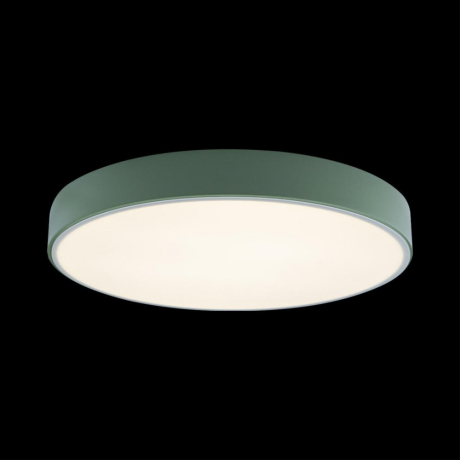 Накладной светильник Loft it Axel 1 10002/24 Green
