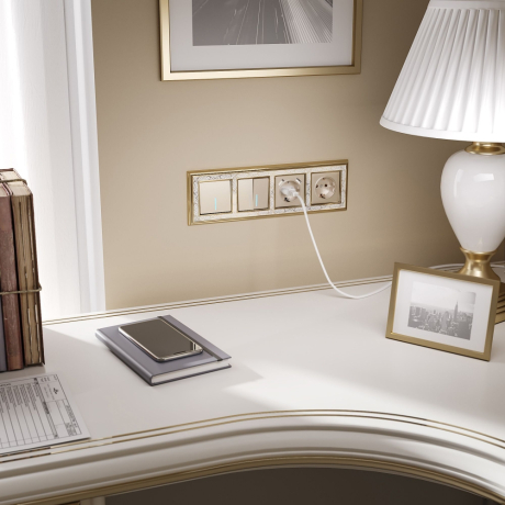 Накладка для розетки с заземлением и 2хUSB Werkel шампань W1179511