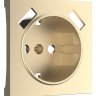 Накладка для розетки с заземлением и 2хUSB Werkel шампань W1179511