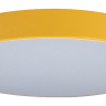 Накладной светильник Loft it Axel 1 10002/24 Yellow