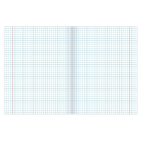 Нарушена упаковка!  <214861> Тетрадь А5, 96 л., BRAUBERG, скоба, клетка, обложка картон, "INDAY", 400522 (400522)