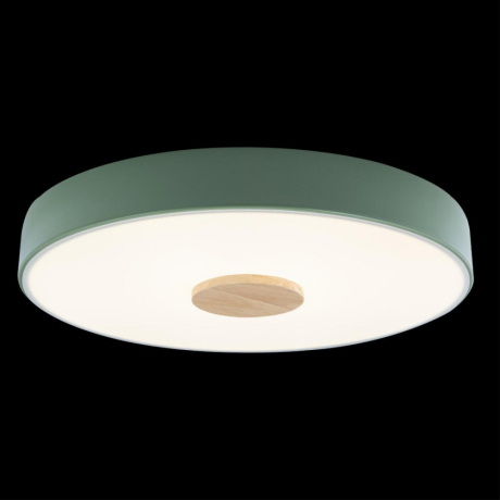 Потолочный светодиодный светильник Axel Loft It 10003/24 Green