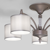 60080/5 сатин-никель Потолочная люстра Eurosvet Adagio