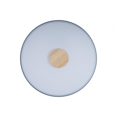 Накладной светильник Loft it Axel 2 10003/24 Grey