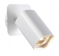 370553 Спот Novotech Gusto