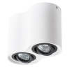 Потолочный светильник Arte Lamp Falcon A5644PL-2WH