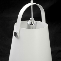 LSP-8098 Подвесная люстра Lussole Lgo