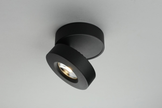 Нарушена упаковка! <230063> OML-101919-12 Потолочный светильник Omnilux Borgetto