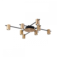 Люстра потолочная APLOYT Elwisia с Марусей APL.633.07.08-M