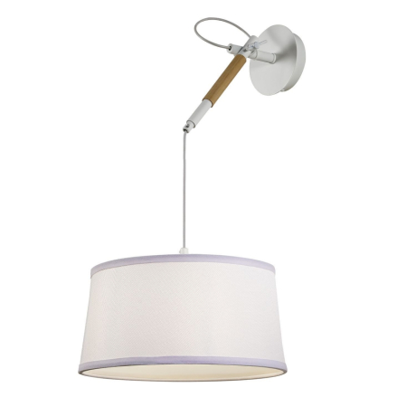 Yастенно-потолочный светильник F-Promo Eureka 3005-1P