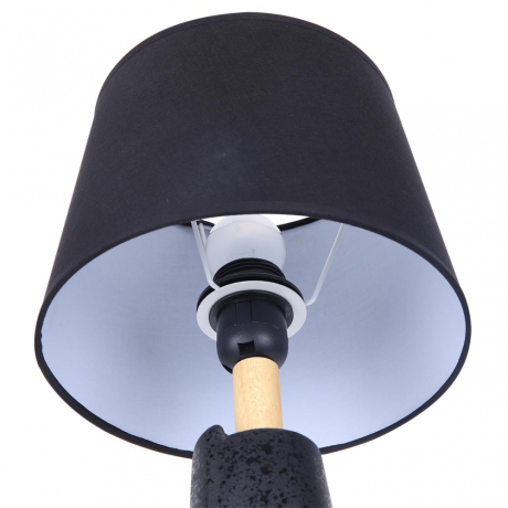 Настольная лампа декоративная Lumion Visiona 8209/1T