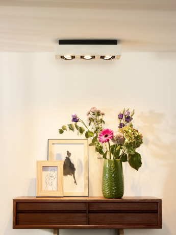 09119/16/31 Потолочный накладной светильник Lucide Xirax