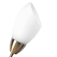 Бра со свeтодиодной лампочкой E14, комплект от Lustrof. №17948-667758