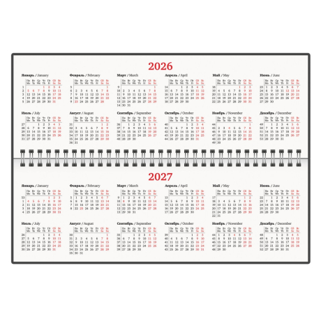 Нарушена упаковка!  <795243> Планинг датированный 2026 305х140 мм BRAUBERG "Up", под кожу, черный, 117234