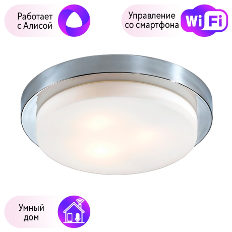 Настенно-потолочный влагозащищенный светильник Odeon Light Holger с поддержкой Алиса 2746/3C-A