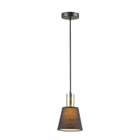 3638/1 Подвесной светильник Lumion Marcus