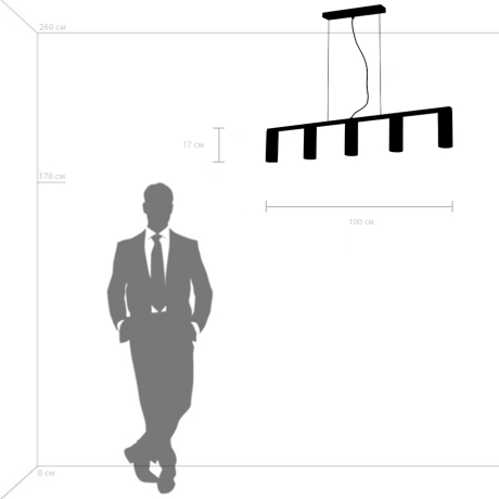 Подвесная люстра Lightstar с поддержкой Маруся Roma 718053