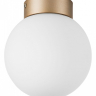 Накладной светильник Lightstar Globo 812013