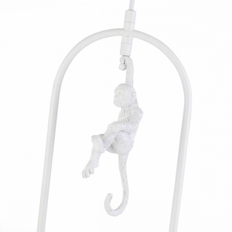 Подвесной светильник EVOLUCE Tenato SLE115123-01