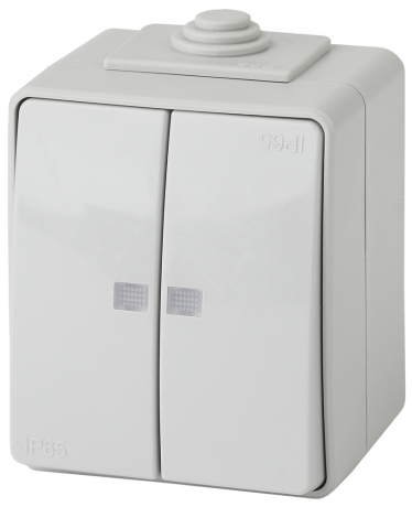 Выключатель двухклавишный с подсветкой ЭРА Эксперт 10AX 250V IP65 11-1605-03 Б0035977