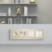 Рамка на 4 поста Werkel AluMax шампань W0043511