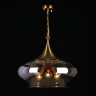 Подвесная люстра Aployt Franko APL.601.16.03