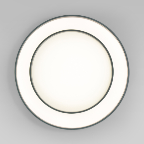 Потолочный диммируемый светильник Eurosvet Force 90330/2 (a065956)