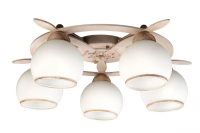 OML-50517-05 Потолочная люстра Omnilux Fronteira