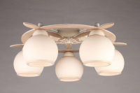 OML-50517-05 Потолочная люстра Omnilux Fronteira