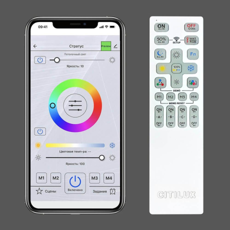 Накладной светильник Citilux Триест Смарт CL737A44E