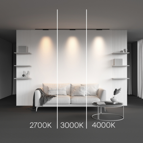 Накладной светильник Maytoni Technical Points TR193-1-10W4K-M-B