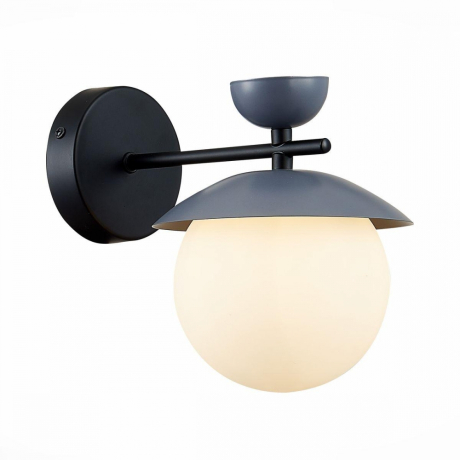 Бра в комплекте с Led лампами Evoluce SLE220201-01+Lamps