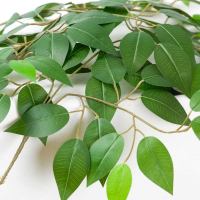 Настольная лампа Lussole IDAHO LSP-0682