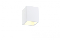 Накладной светильник SIMPLE STORY 2019-1CLW