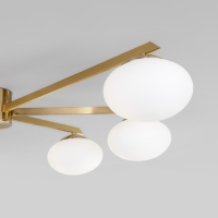 Потолочный светильник со стеклянными плафонами Eurosvet Opaline 70220/6 (a065766)