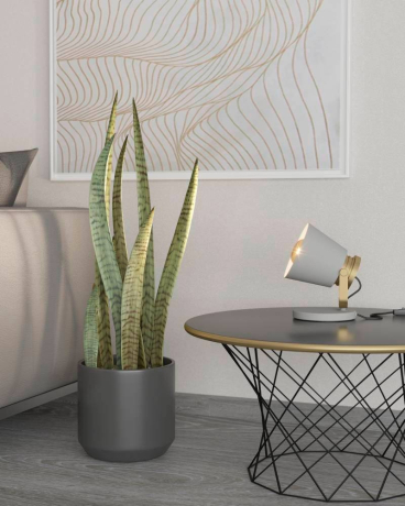 Настольная лампа декоративная Eglo Twicken 43841