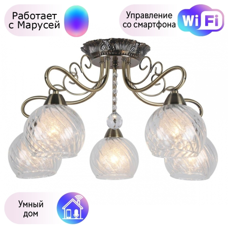 Люстра с поддержкой Маруси потолочная Omnilux OML-53507-05-M