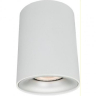 Накладной светильник Arte Lamp Torre A1532PL-1WH