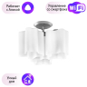 Потолочная люстра Lightstar с поддержкой Алисы, Nubi 802030