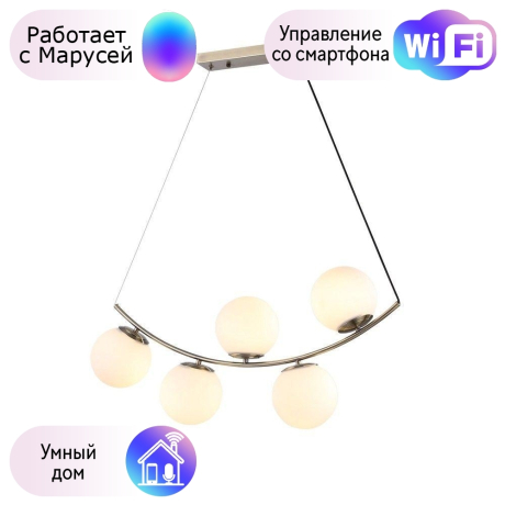 Светильник с поддержкой Маруси подвесной Omnilux OML-94903-05-M