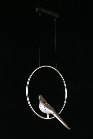 Подвесной светильник Aployt Astor APL.822.16.10