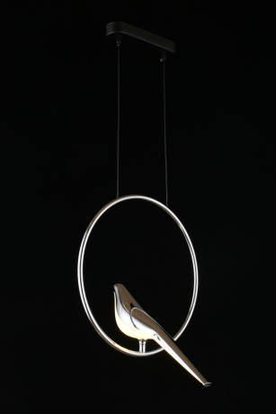 Подвесной светильник Aployt Astor APL.822.16.10