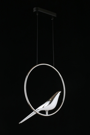 Подвесной светильник Aployt Astor APL.822.16.10